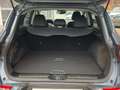 Renault Kadjar 1.3 TCe 140 Bose Automatik Winter- und Protectionpaket Gris - thumbnail 19