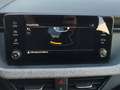 Skoda Scala 1.0 TSI Selection Facelift*KeyLess*KlimaA Grau - thumbnail 25