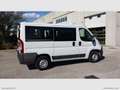 Fiat Ducato 2.3 M-JET 150 PANORAMA 9 POSTI Weiß - thumbnail 4