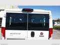 Fiat Ducato 2.3 -JET 150 PANORAMA 9 POSTI Blanc - thumbnail 14