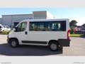 Fiat Ducato 2.3 M-JET 150 PANORAMA 9 POSTI Weiß - thumbnail 3