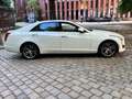 Cadillac CTS CTS 2.0T AWD AT8 Premium Білий - thumbnail 6