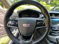 Cadillac CTS CTS 2.0T AWD AT8 Premium Білий - thumbnail 14