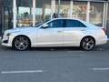 Cadillac CTS CTS 2.0T AWD AT8 Premium Білий - thumbnail 3