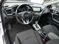 Kia Ceed SW / cee'd SW cee'd SW Plugin Hybrid Kamera Navi GRA Shz Weiß - thumbnail 9