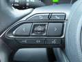 Toyota Yaris Mazda 2 Hybrid 1.5 Agile Stuur- en Stoelverwarming Schwarz - thumbnail 15