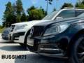 Volkswagen Phaeton V6 TDI 4Motion Exklusiv Vollausstattung Grau - thumbnail 16