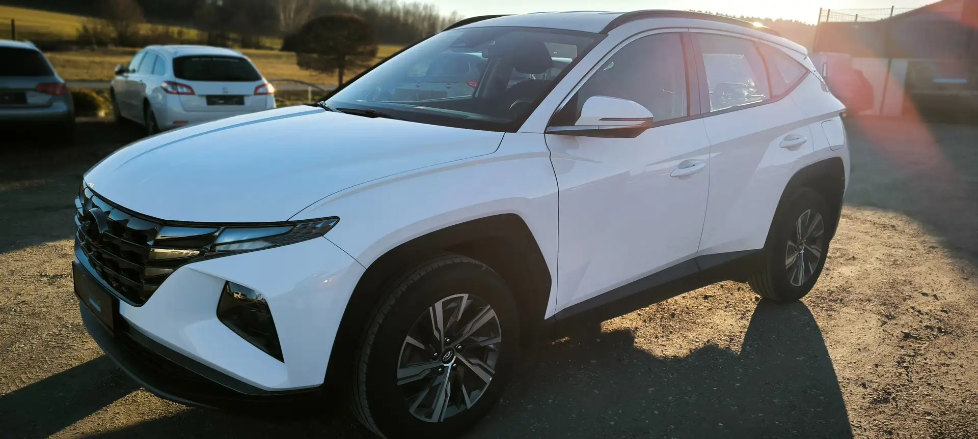 Hyundai TUCSON Tucson 1,6 CRDI 2WD Smart Line*AHK*PICKERL NEU Weiß - 1