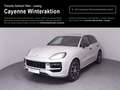 Porsche Cayenne E-Hybrid Braun - thumbnail 1