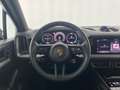 Porsche Cayenne E-Hybrid Braun - thumbnail 12