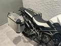 Triumph Tiger 800 XRx TRIUMPH TIGER 800 XRX VALIGIE LATERA Blanco - thumbnail 7