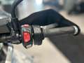 Triumph Tiger 800 XRx TRIUMPH TIGER 800 XRX VALIGIE LATERA Blanco - thumbnail 6