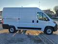 Fiat Ducato 33 2.2 Mjt 140CV PM-TM Furgone  N°GJ446 Bianco - thumbnail 7