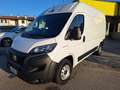 Fiat Ducato 33 2.2 Mjt 140CV PM-TM Furgone  N°GJ446 Bianco - thumbnail 1
