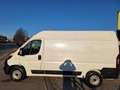 Fiat Ducato 33 2.2 Mjt 140CV PM-TM Furgone  N°GJ446 Bianco - thumbnail 13