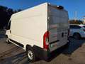 Fiat Ducato 33 2.2 Mjt 140CV PM-TM Furgone  N°GJ446 Bianco - thumbnail 10