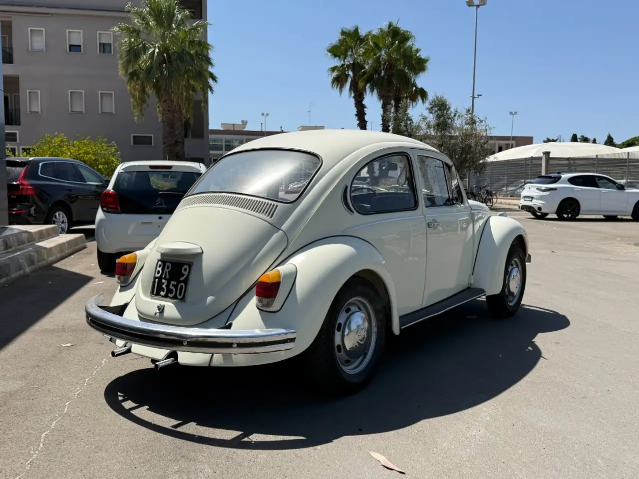 Volkswagen Maggiolino, foto 6