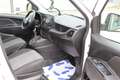 Fiat Doblo Fiat  Doblo Multijet 1,3 Klima Tüv Neu Weiß - thumbnail 4
