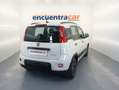 Fiat Panda 1.0 GSE Hybrid 70 CV Blanco - thumbnail 15