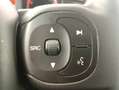 Fiat Panda 1.0 GSE Hybrid 70 CV Blanco - thumbnail 35