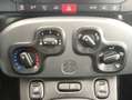 Fiat Panda 1.0 GSE Hybrid 70 CV Blanco - thumbnail 30