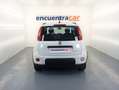 Fiat Panda 1.0 GSE Hybrid 70 CV Blanco - thumbnail 16