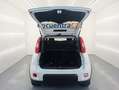 Fiat Panda 1.0 GSE Hybrid 70 CV Blanco - thumbnail 21