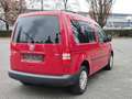 Volkswagen Caddy *PICKERL NEU*KLIMA*SCHIEBETÜREN* Rouge - thumbnail 5