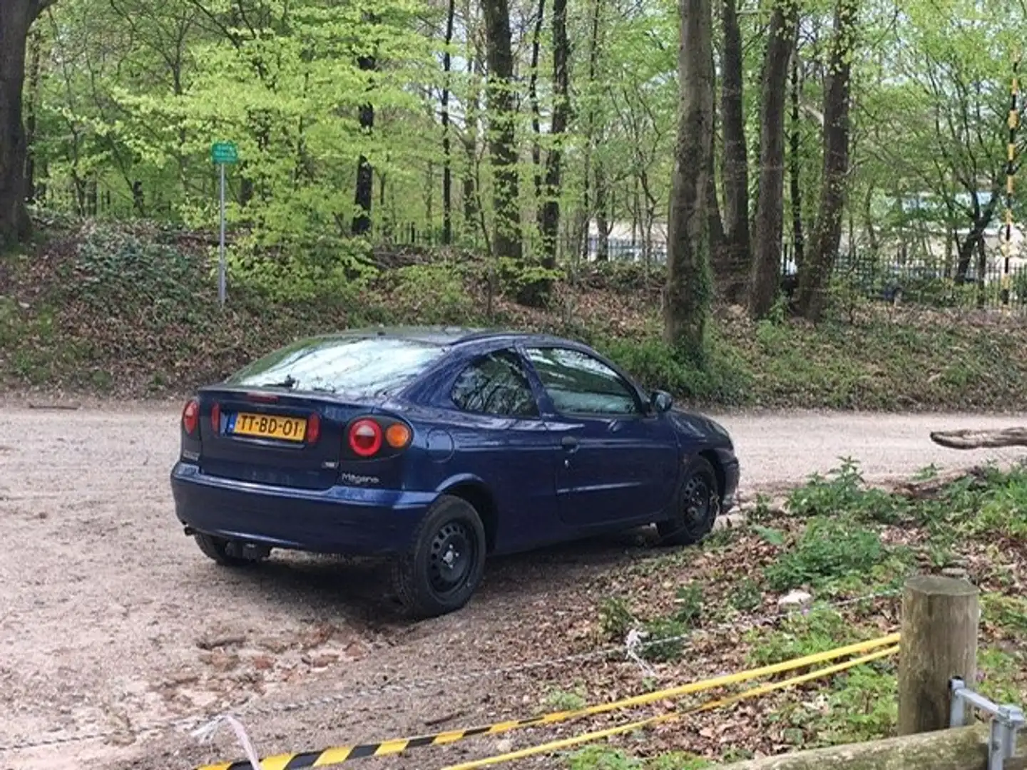 Renault Megane 2.0 Blau - 1