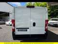 Citroen Jumper DRIVER Blanc - thumbnail 5