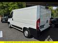 Citroen Jumper DRIVER Blanc - thumbnail 6