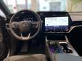 Lexus RZ RZ 300e Grau - thumbnail 10