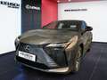 Lexus RZ RZ 300e Grau - thumbnail 1