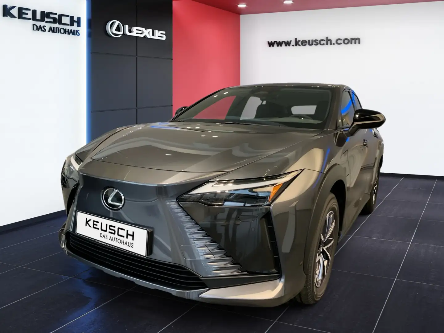Lexus RZ RZ 300e Grau - 1