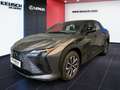 Lexus RZ RZ 300e Grau - thumbnail 2