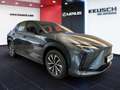 Lexus RZ RZ 300e Grau - thumbnail 15