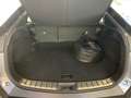 Lexus RZ RZ 300e Grau - thumbnail 12