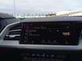Audi 45 e-tron quattro Navi LED Standklimatisierun Schwarz - thumbnail 17