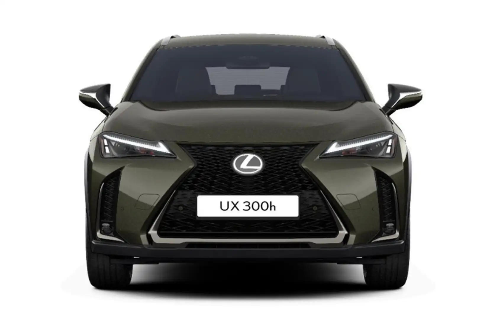 Lexus UX 300h F Sport Design Klima Kamera Sitzhzg Grün - 2