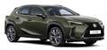 Lexus UX 300h F Sport Design Klima Kamera Sitzhzg Grün - thumbnail 1
