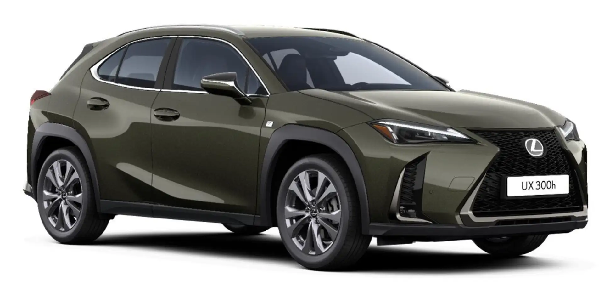 Lexus UX 300h F Sport Design Klima Kamera Sitzhzg Grün - 1