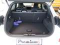 Ford Puma ST-LINE X 125PS EcoBoost/Benzin Mild-Hybrid (PR... Wit - thumbnail 10
