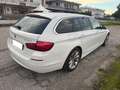 BMW 520 520d Touring Business 190cv auto Bianco - thumbnail 3