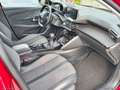 Peugeot 208 BlueHDi 100 S&S 5p. Allure TAGLIANDI PEUGEOT Rot - thumbnail 9