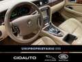 Jaguar XJ XJ 2.7 D V6 Executive UNIPROPRIETARIO !!! Grigio - thumbnail 11