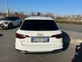 Audi A4 Avant 35 2.0 TFSI 150cv mhev Advanced S-tronic Uff Білий - thumbnail 13