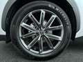Lexus LBX Emotion 2WD Alb - thumbnail 10