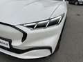 Ford Mustang Mach-E Extended Range Premium 91kWh Alb - thumbnail 11