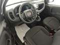 Fiat Panda 1.0 FireFly S&S Hybrid +Vernice + kit 5 posti + P Nero - thumbnail 8