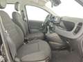 Fiat Panda 1.0 FireFly S&S Hybrid +Vernice + kit 5 posti + P Nero - thumbnail 12